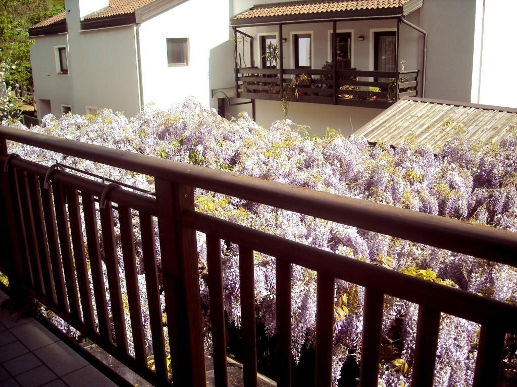 Hotel Faedo Pineta Room photo