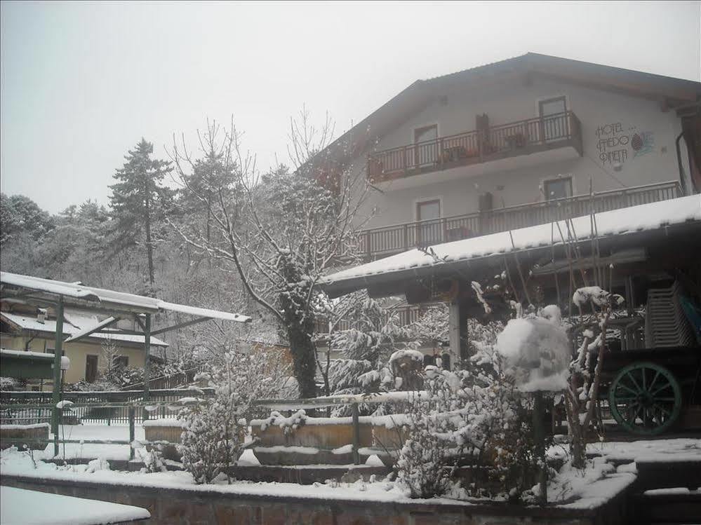 Hotel Faedo Pineta Exterior photo